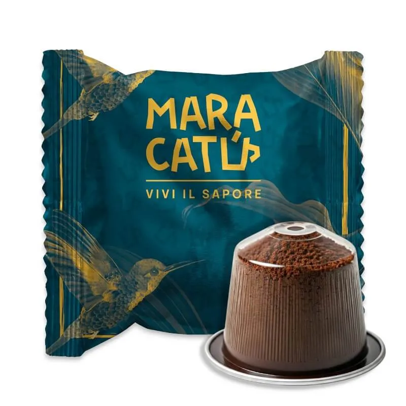 https://maracatucaffe.it/storage/16403/nespresso-webp.webp