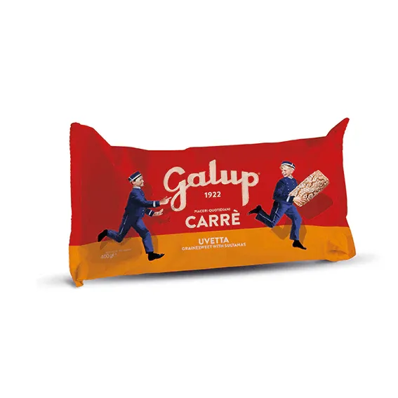 Carrè con Uvetta Galup 400 g – Dolce artigianale con glassa alla nocciola