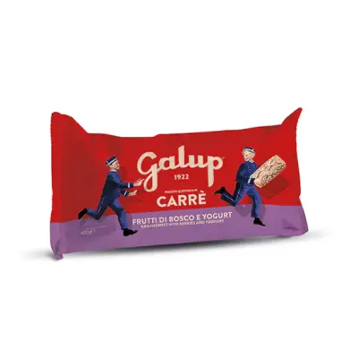 Carrè Frutti di Bosco e Yogurt Galup 400 g – Dolce artigianale con glassa alla nocciola