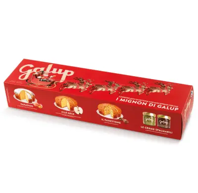 Panettoncini Galup Mignon Mix con Creme Spalmabili 460 g – Edizione Natale