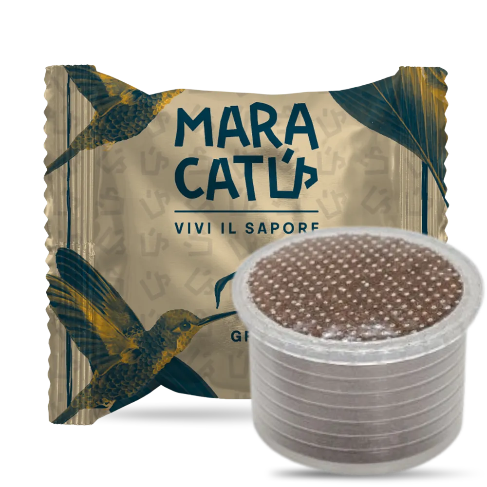 50 Capsule Caffè Maracatú Gran Crema Blend Compatibili Lavazza Espresso Point Bidose