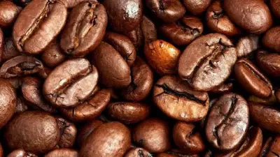 How to descale a coffee machine: the practical guide from someone who has sold coffee for 15 years
