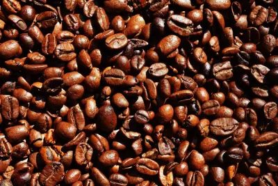 La scala d'intensità del caffè: cosa significano davvero i numeri sulle capsule