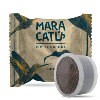 100 Capsule Caffè Maracatú Miscela Gran Crema Compatibili Lavazza Espresso Point